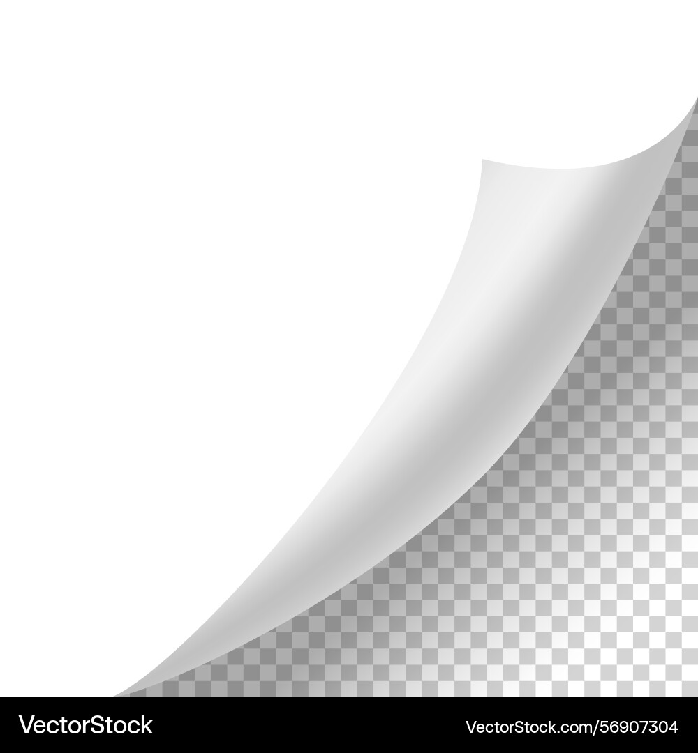 Curled paper corner curve page edge Vector Image