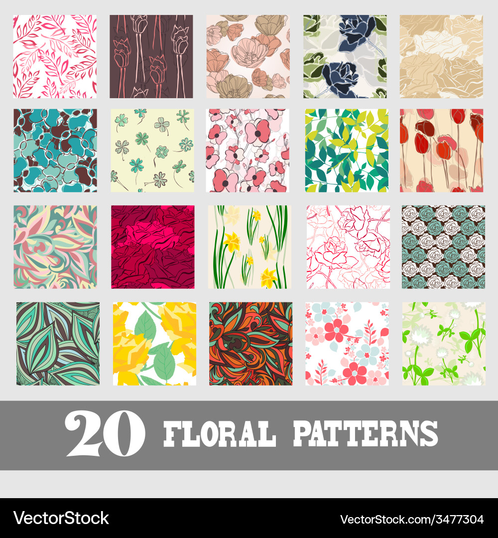 Floral Seamless Pattern Set vector image