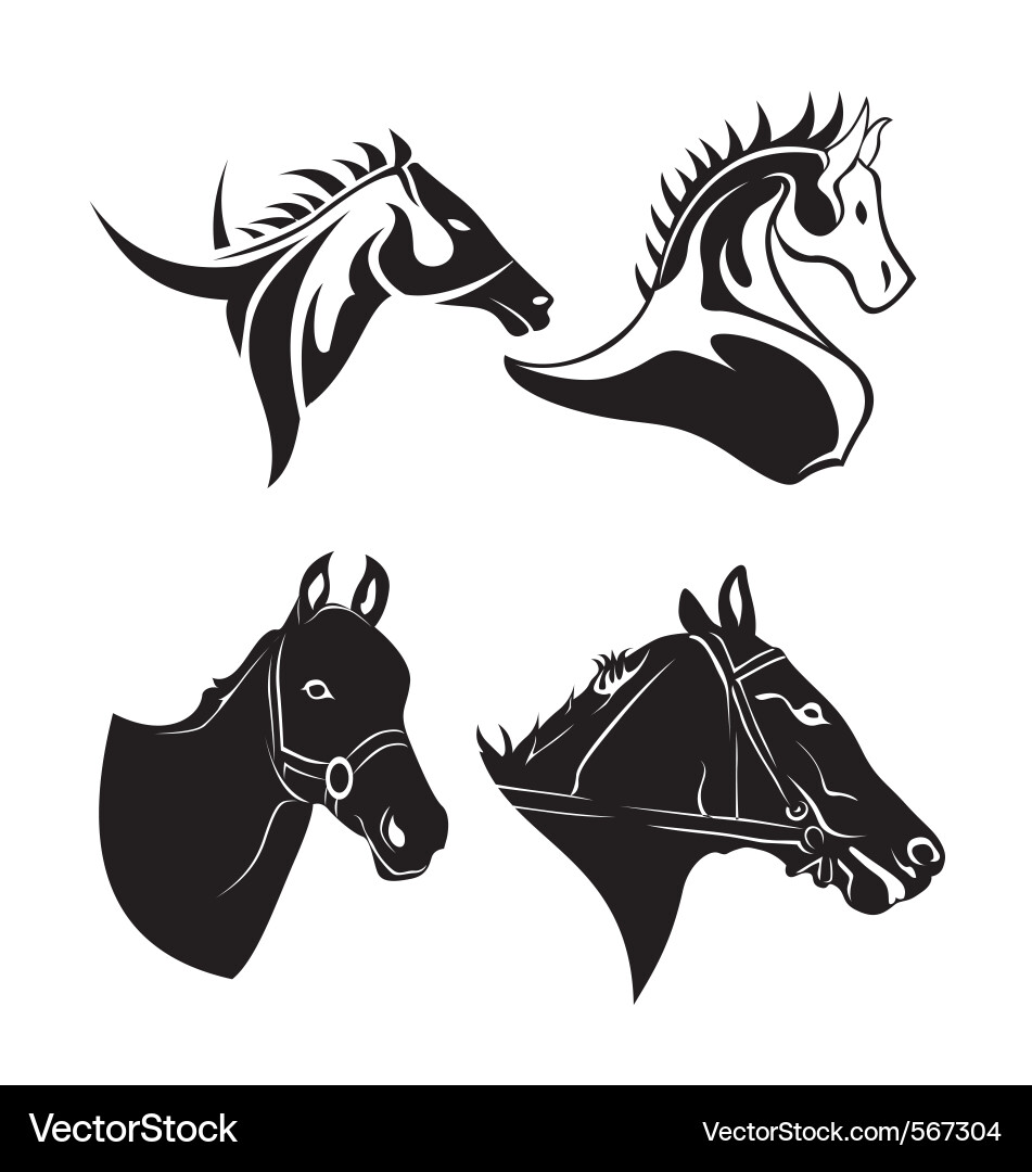 Horse Head Silhouette Vector Image
