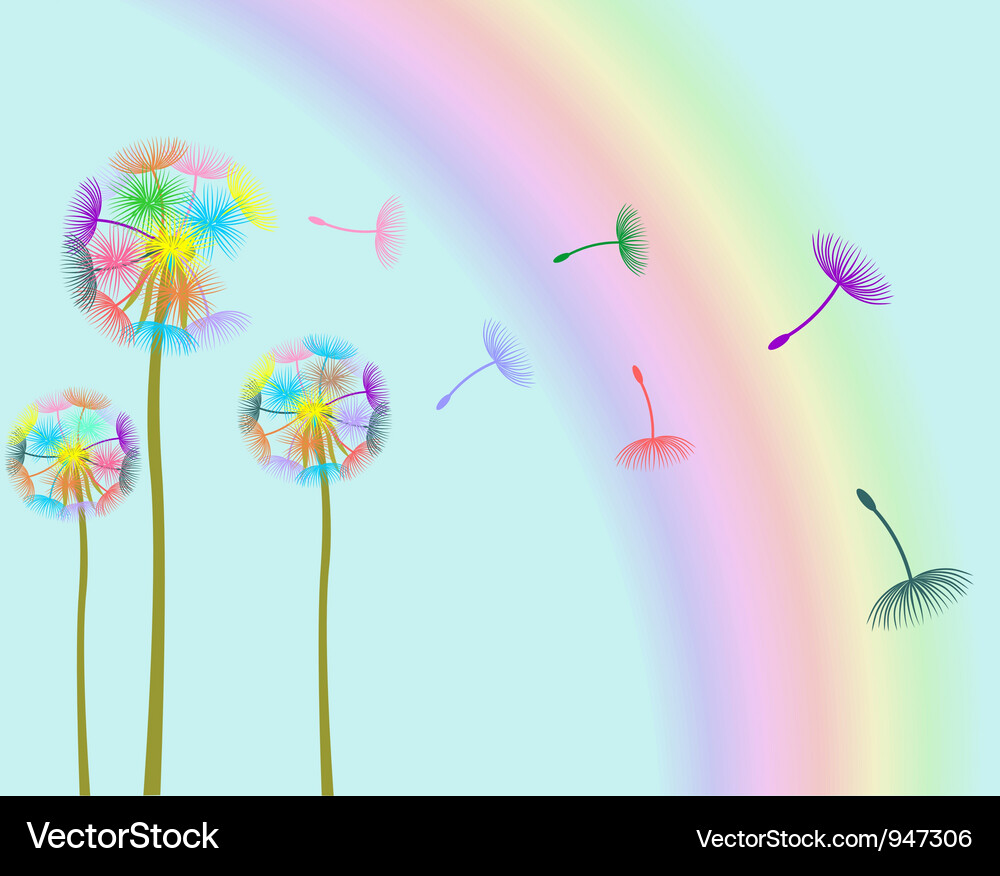 Dandelions Vector Image