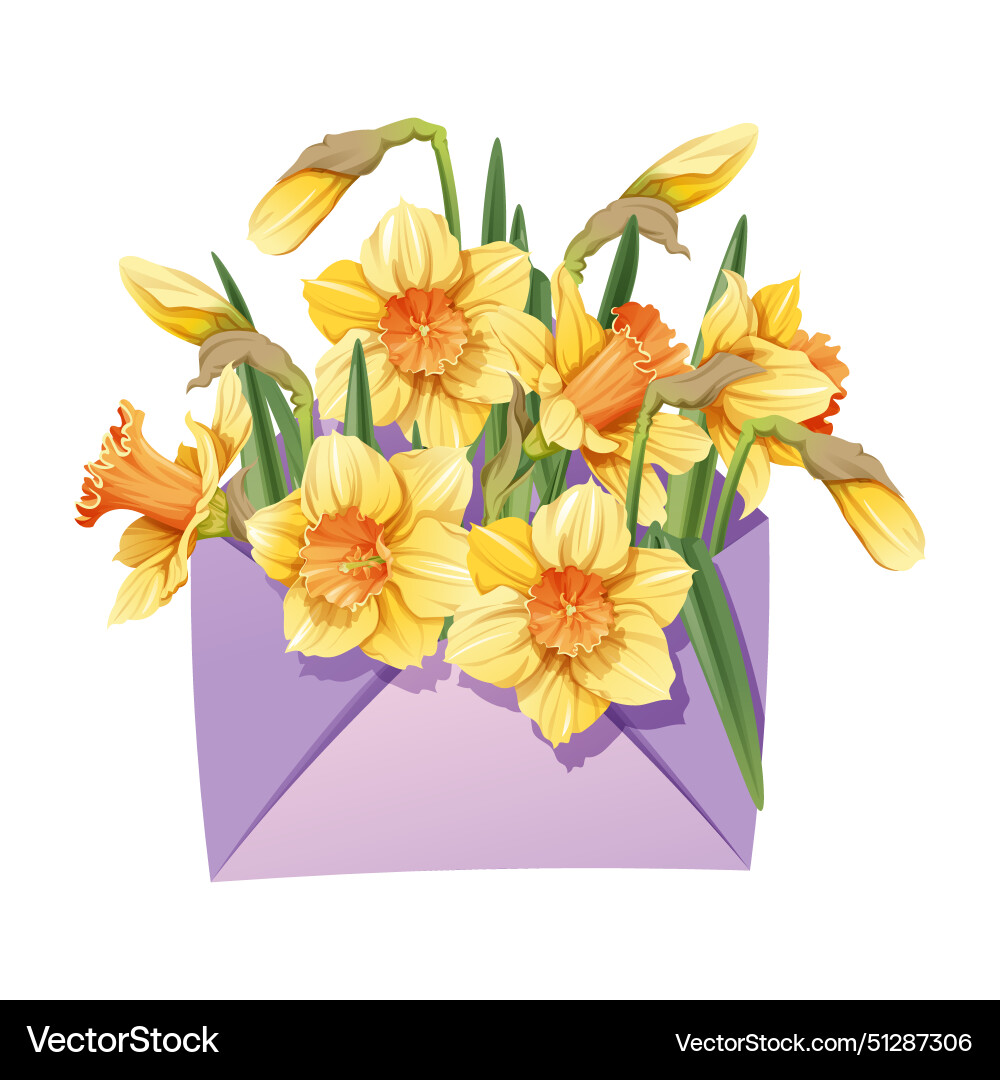 Envelope with daffodils on an isolated background Envelope with daffodils on an isolated background Vector Image