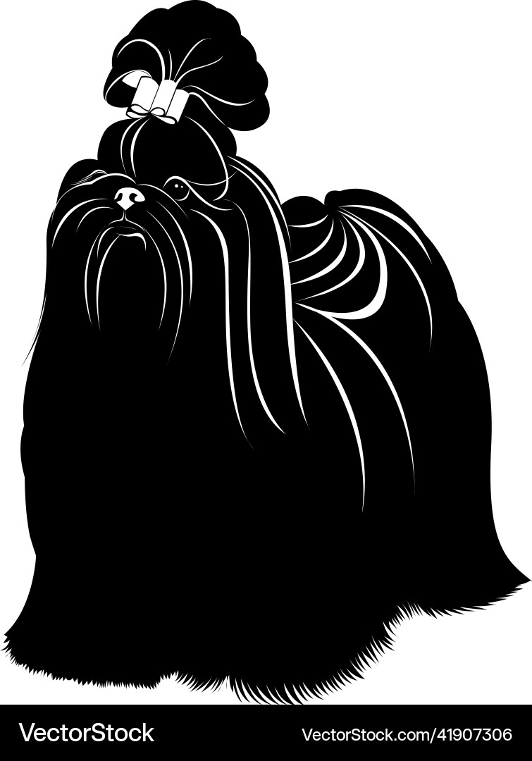 Silhouette dog shih tzu isolated Silhouette dog shih tzu isolated vector image