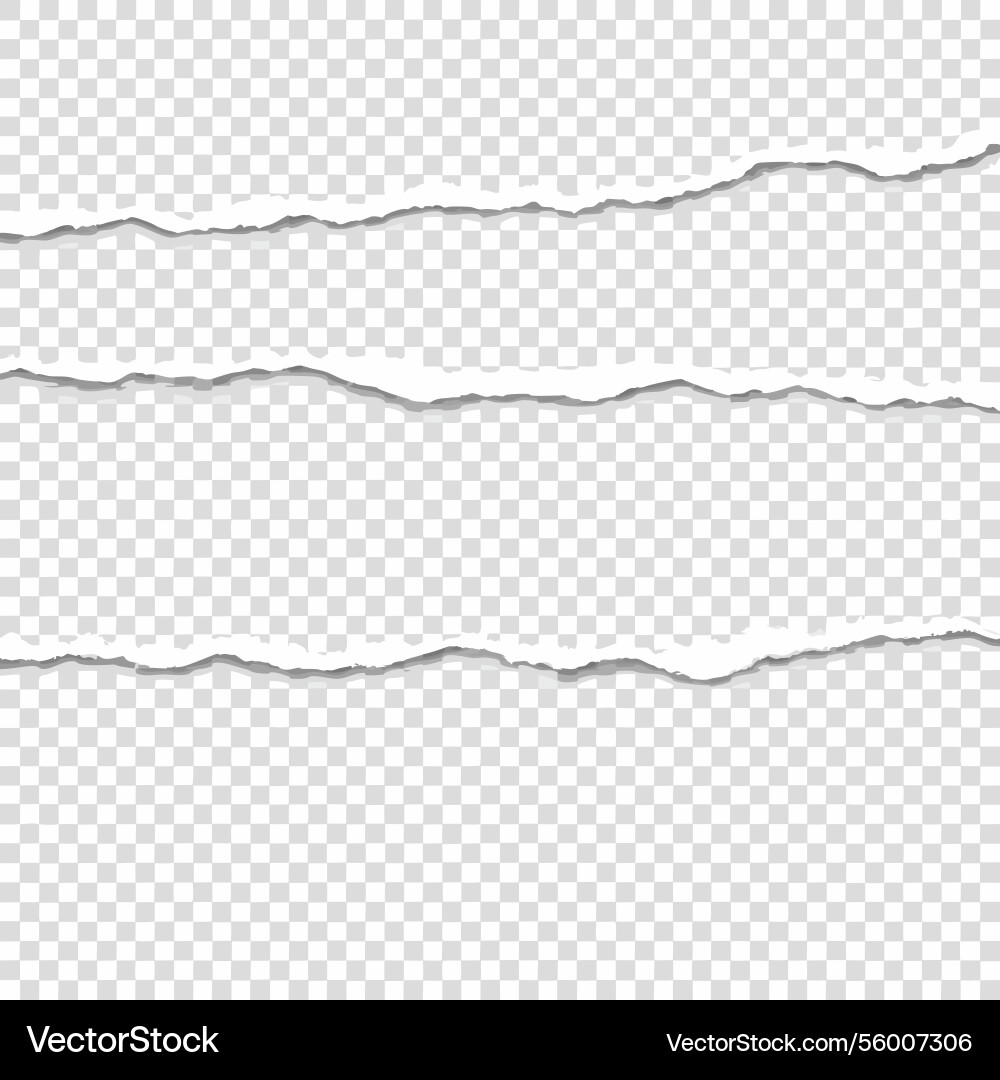 Torn paper edges texture seamless ripped pattern Vector Image