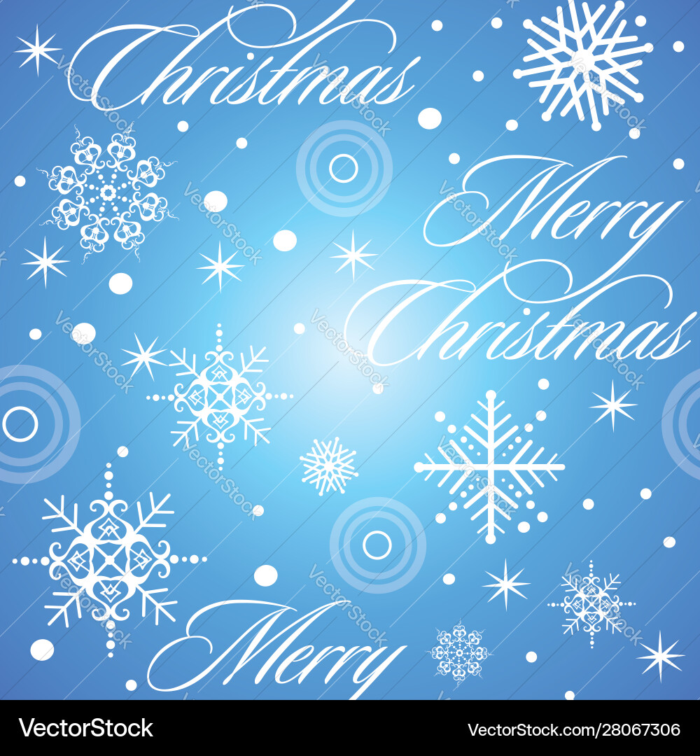 Winter Snowflake Pattern vector image