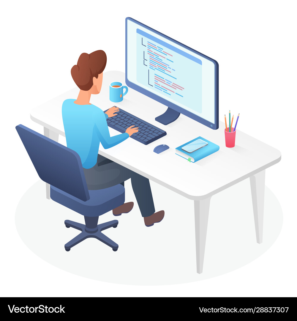 Isometric Programmer Character vector image