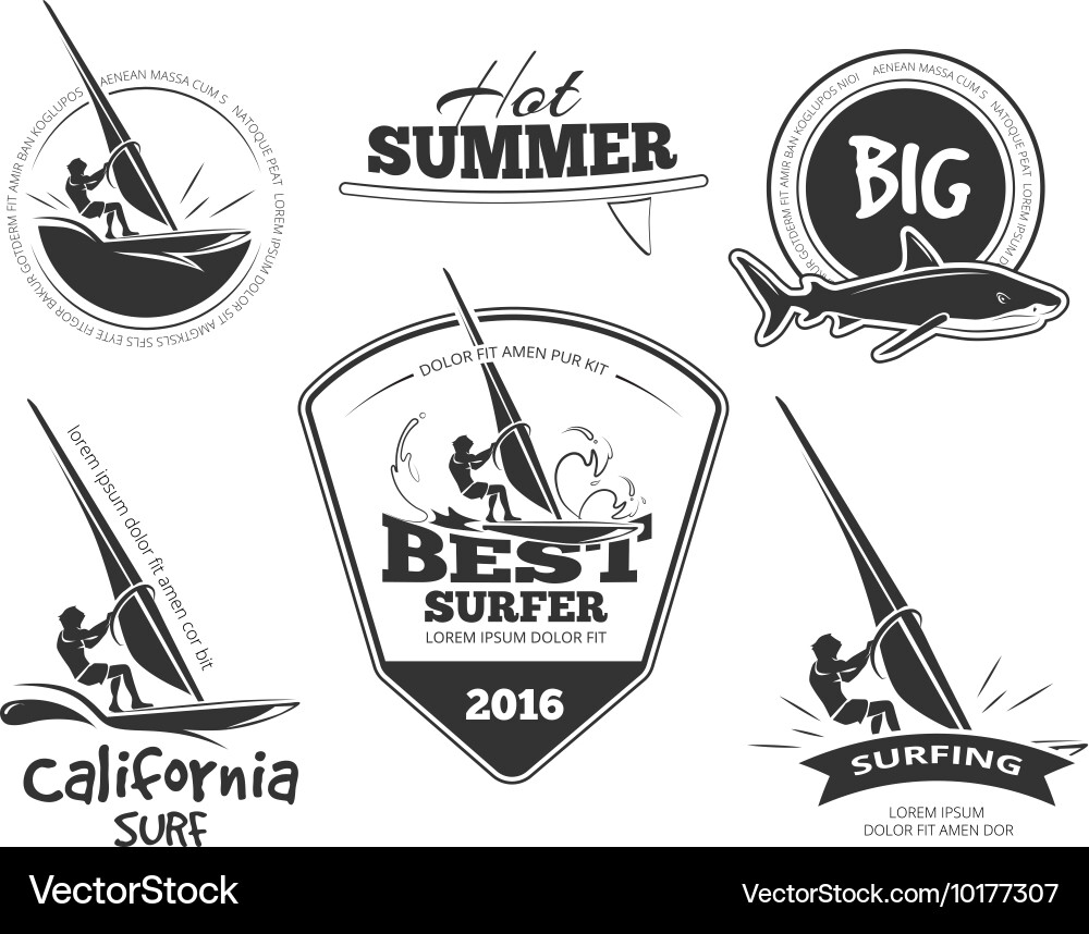 Retro Surf & Beach Emblems vector image