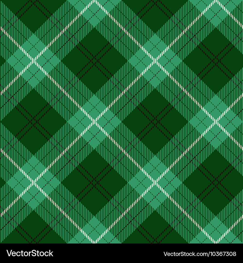 Tartan Plaid Pattern vector image