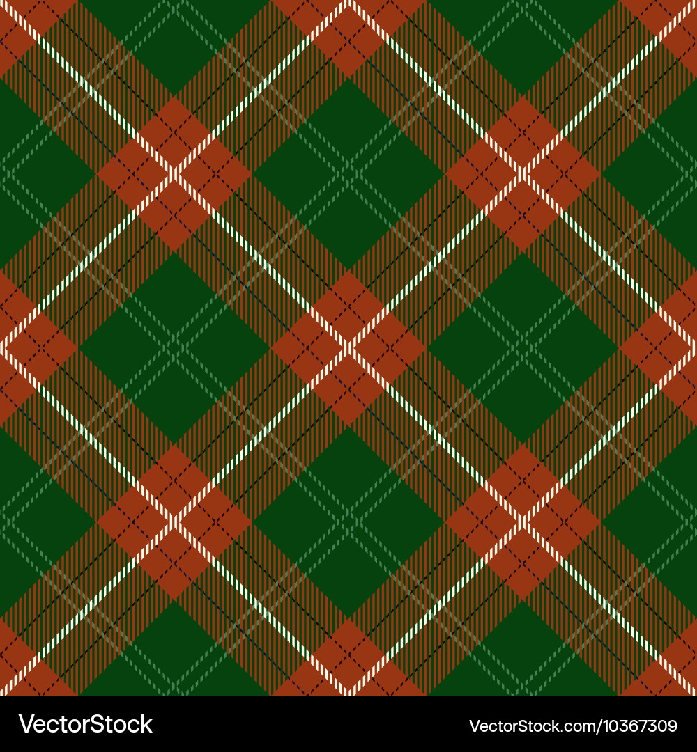 Tartan Plaid Pattern vector image