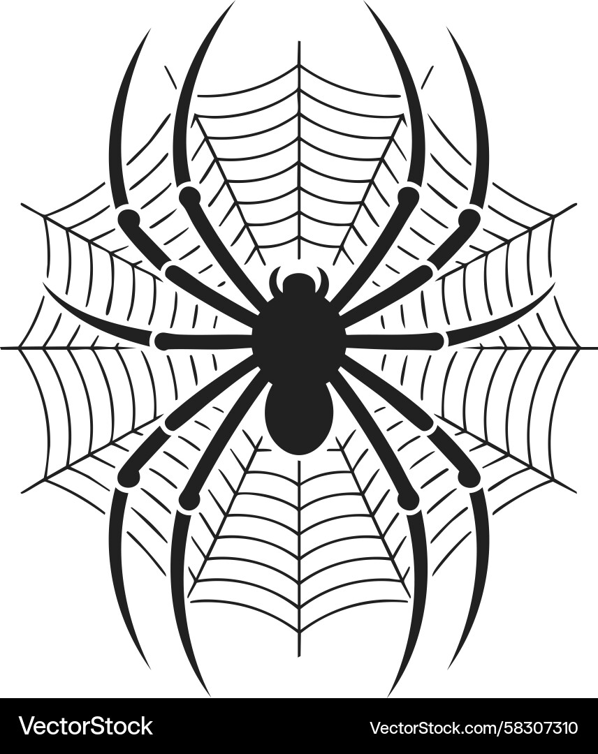 Intricate Spider Web Pattern Vector Image