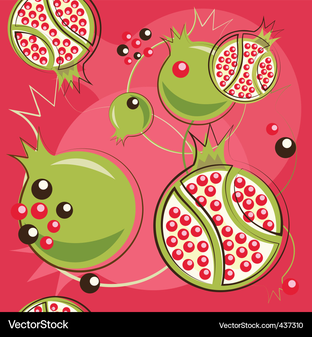 Pomegranate Pattern vector image