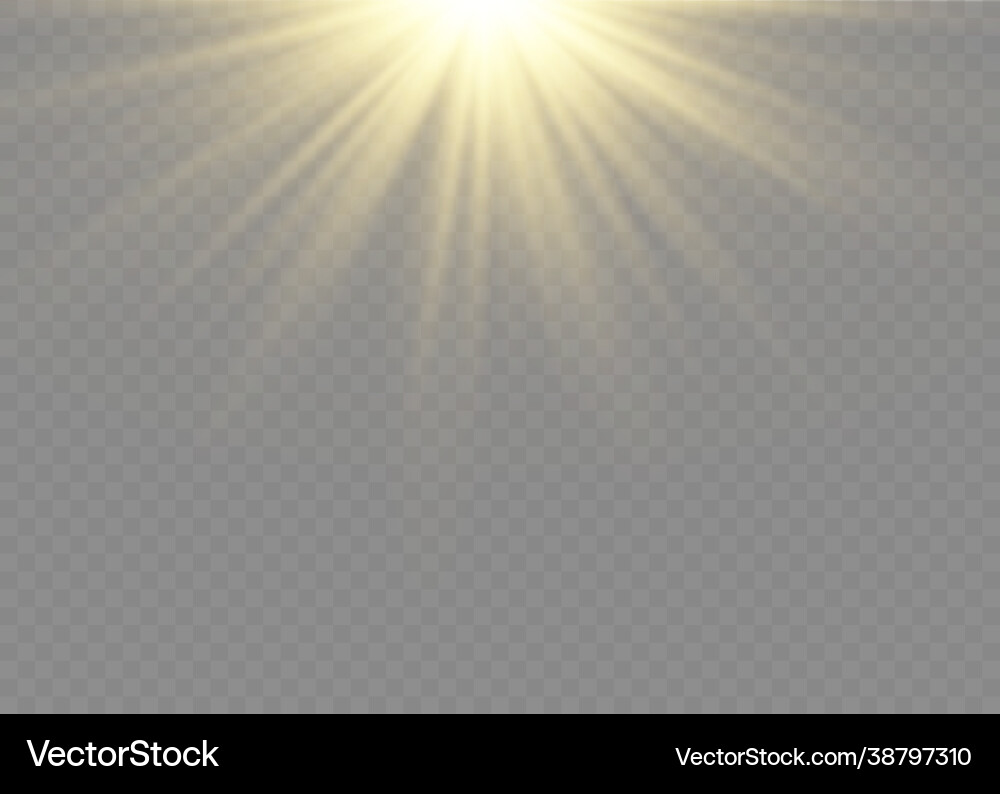 Sunlight lens flash light effect sun ray Vector Image