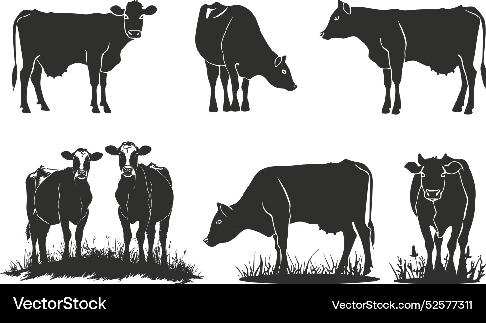 Kühe Silhouetten auf Wiesenfarm Kühe Silhouetten auf Wiesenfarm vektorbild