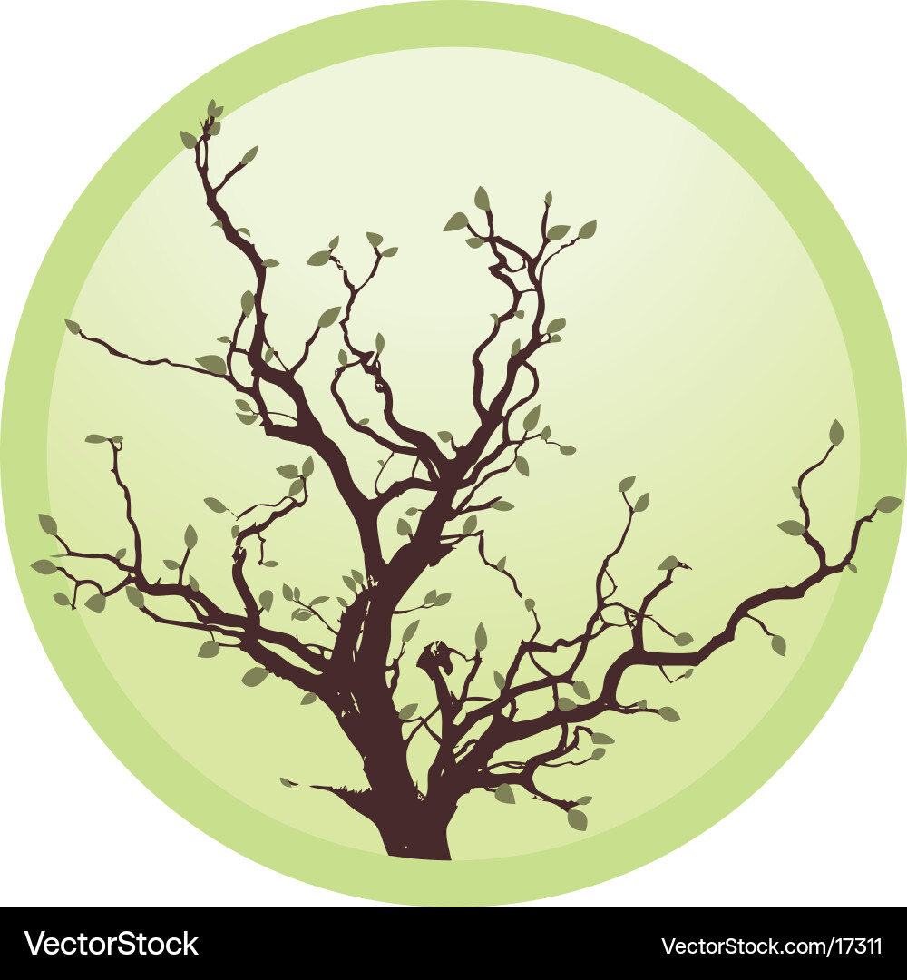 Lone Tree Silhouette vector image