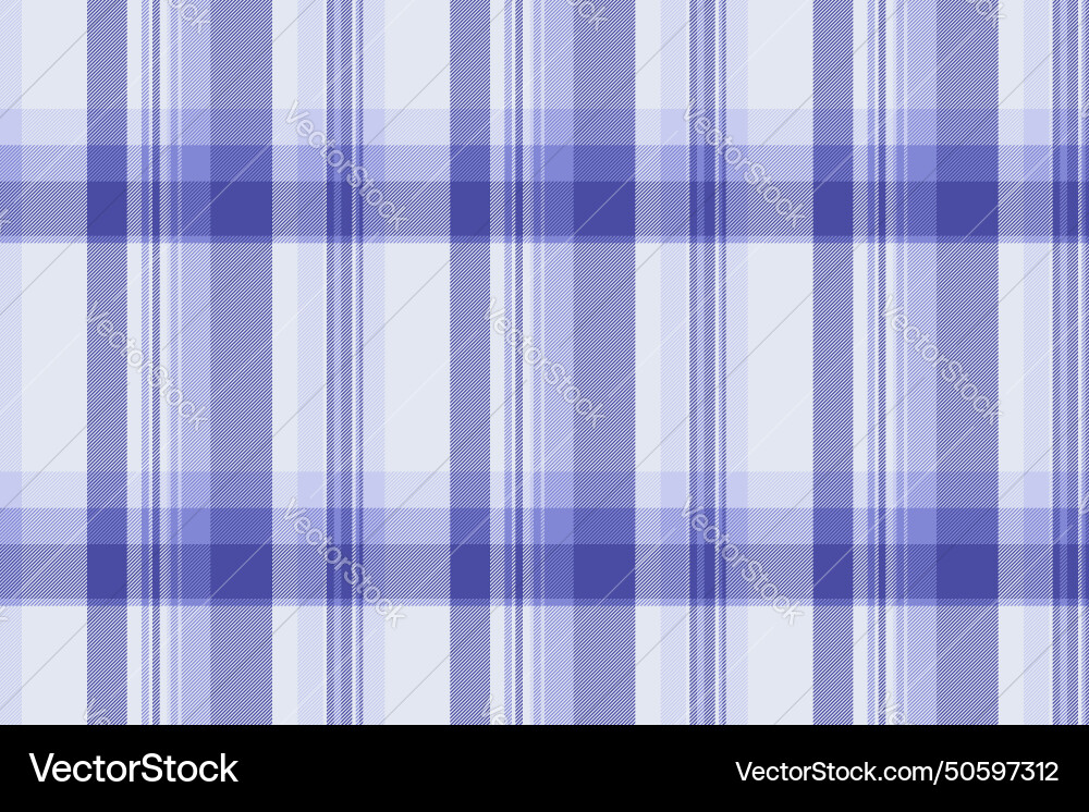 Check fabric of seamless pattern texture Check fabric of seamless pattern texture vector image
