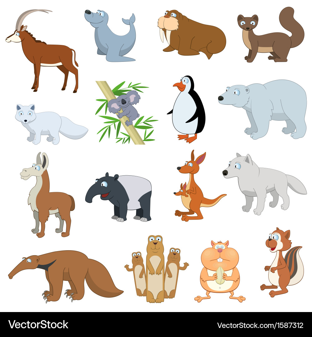 Cute Wildlife Animal Collection Vector Image