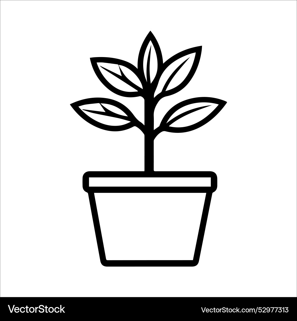 Plant pot icon or modern line symbol art Vector Image