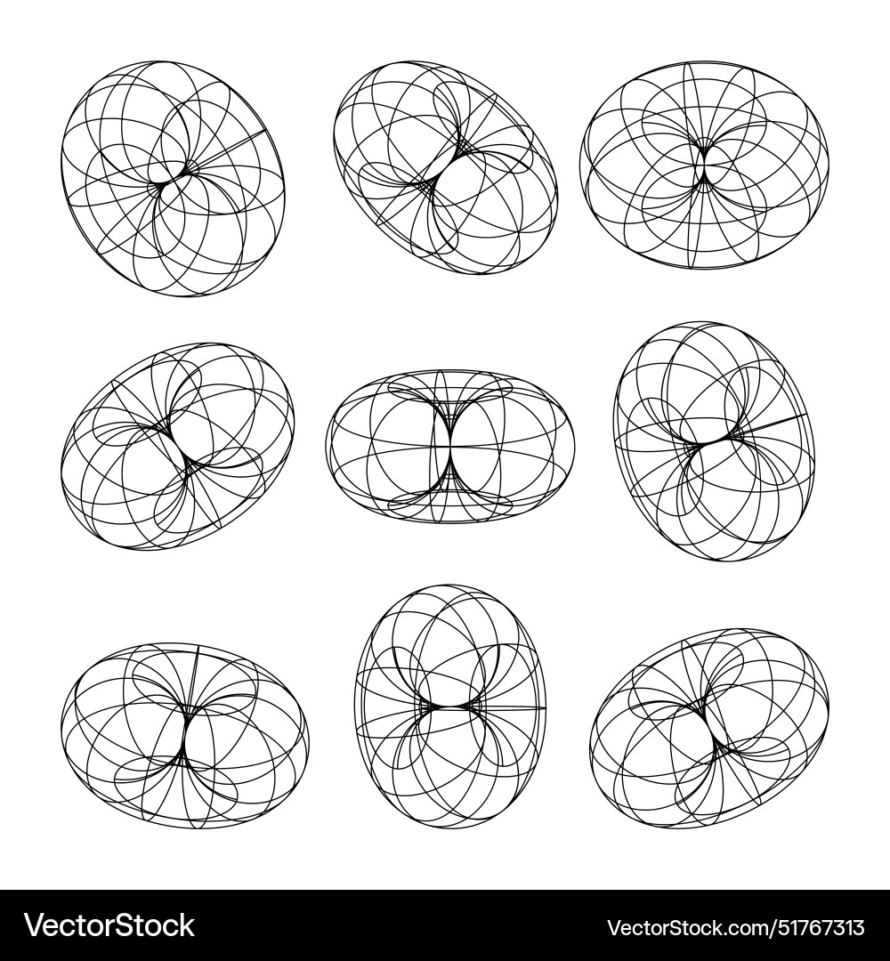 Wireframe shapes lined torus perspective mesh Vector Image