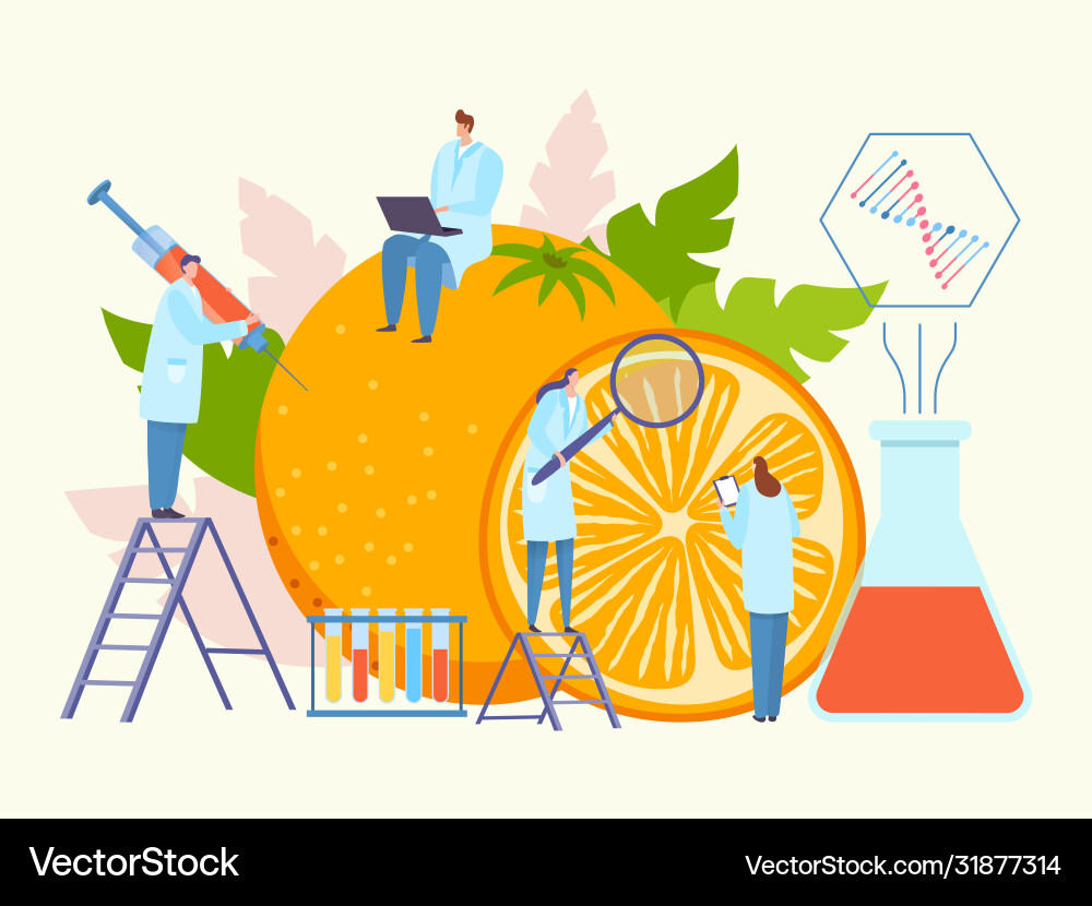 Bioengineering food genetically modified product Bioengineering food genetically modified product vector image