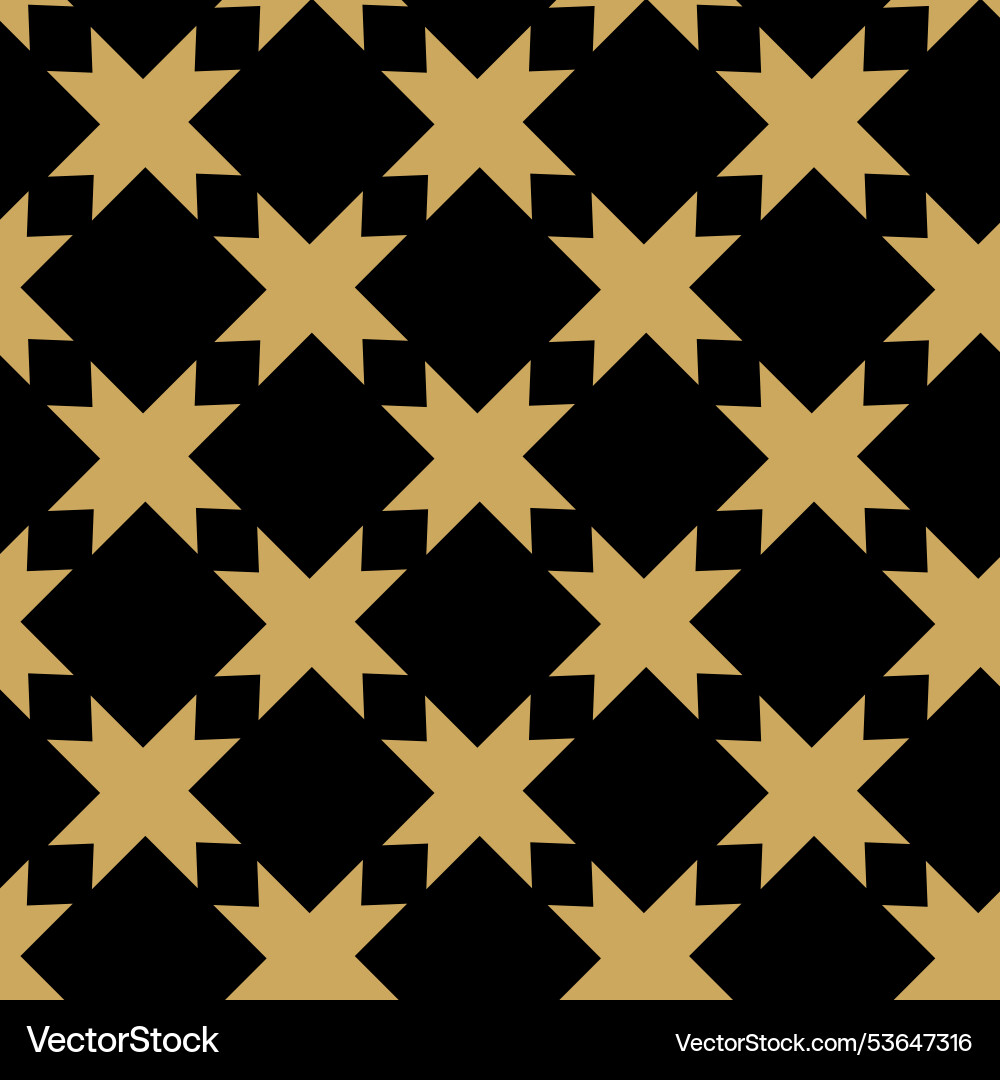 Abstract geometric pattern with crosses stripes Vector Image