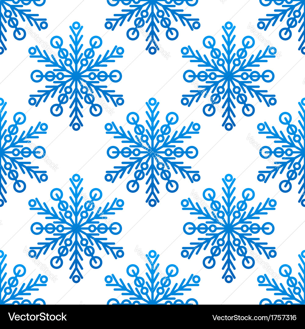 Winter Snowflake Pattern vector image