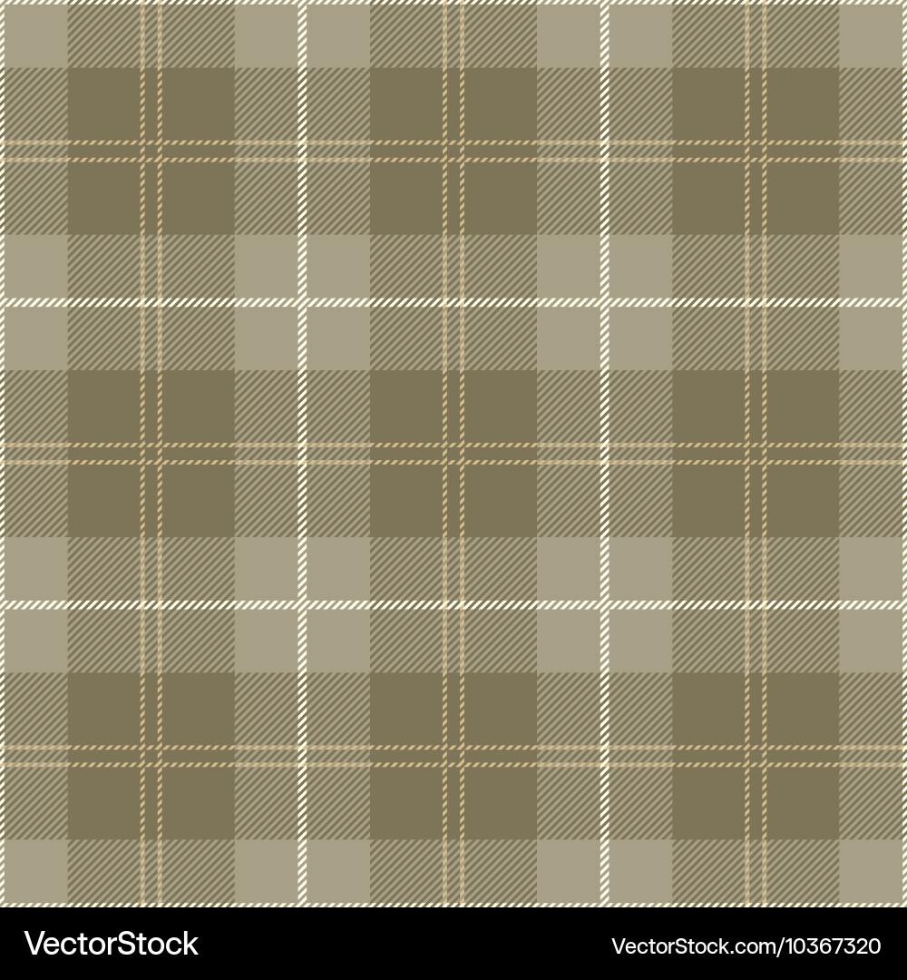 Tartan Plaid Pattern Vector Image
