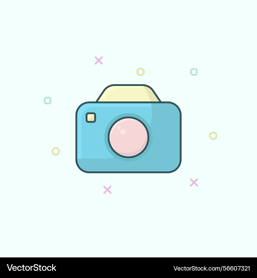 Modern style ui digital camera icon suitable Vector Image