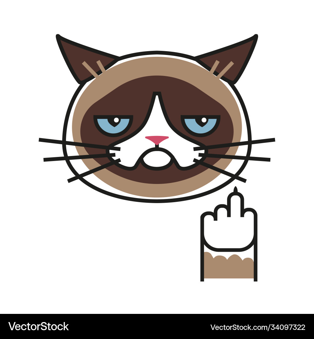 Grumpy Cat with Middle Finger vector image