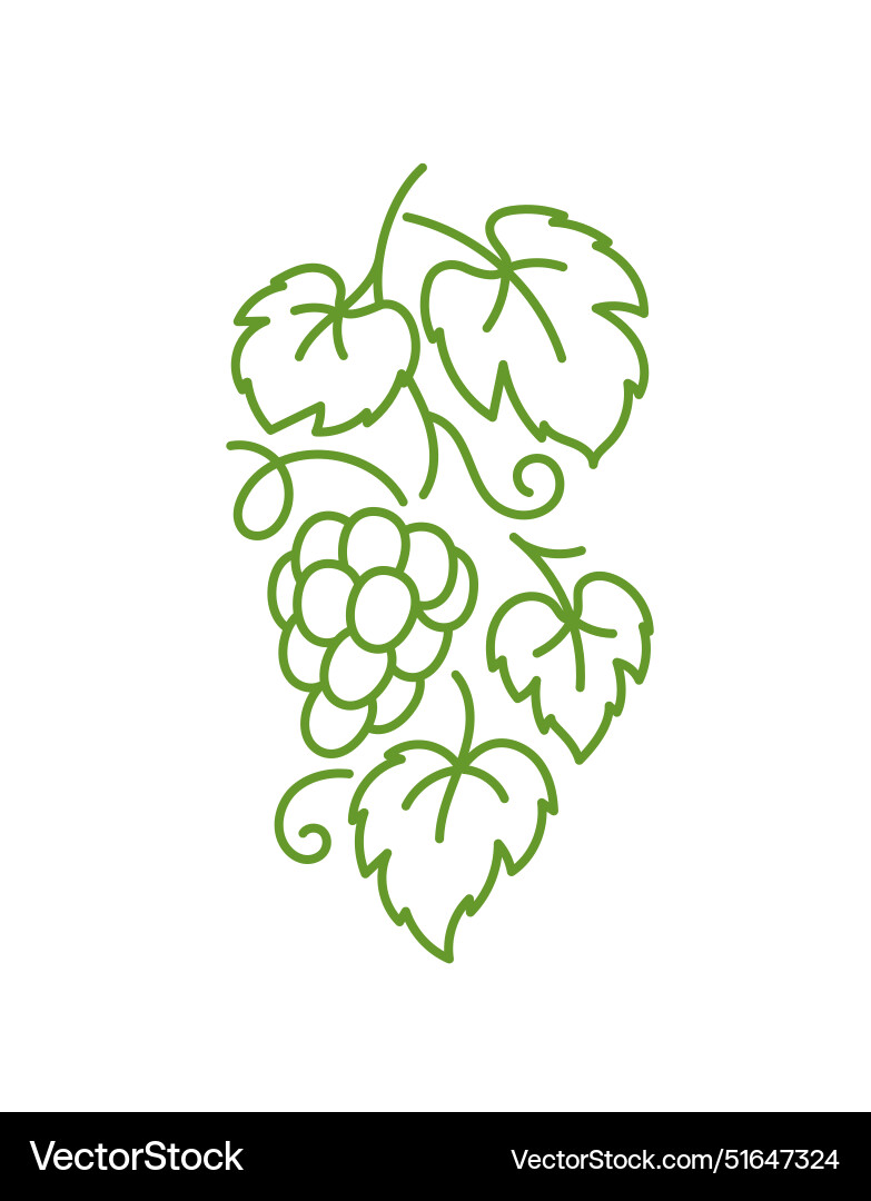 Grape design element vine leaves editable vector image