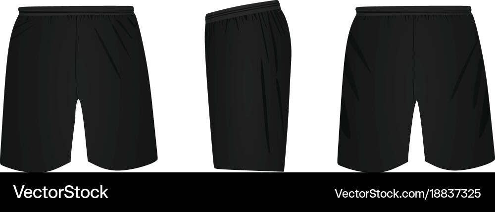 Black shorts template vector image