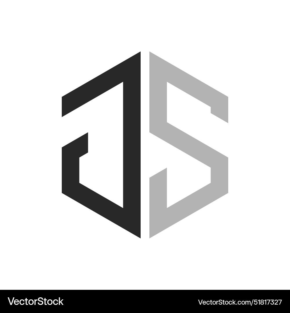 Modern unique hexagon letter js logo design Vector Image