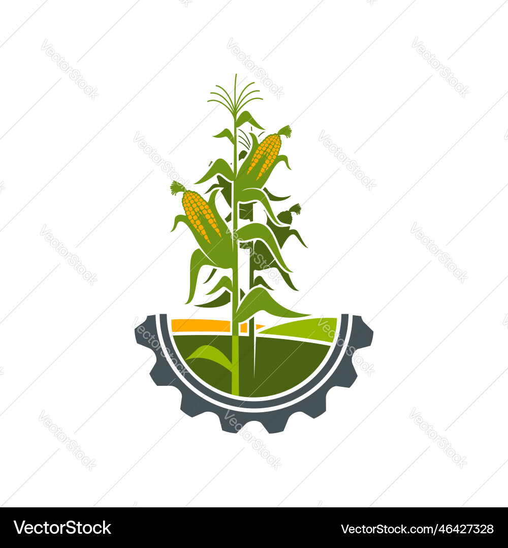 Agriculture icon field of corn in cogwheel circle vector image