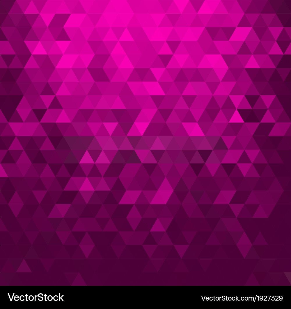 Geometric Triangle Background vector image