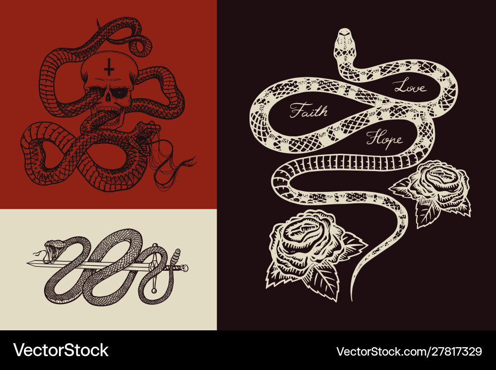 Royal python with a skull milk snake roses Vector Image