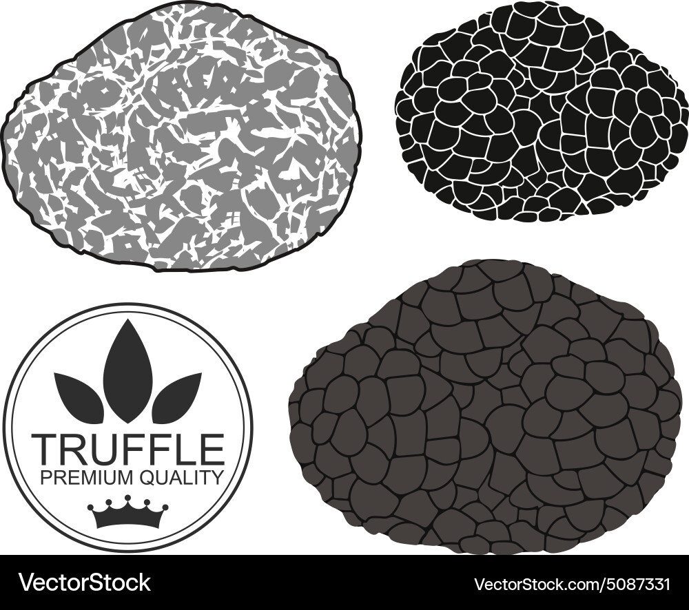 Black Truffle Gourmet Set vector image