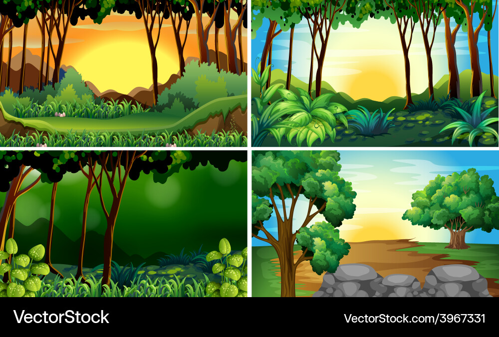 Forest scenes Royalty Free Vector Image - VectorStock