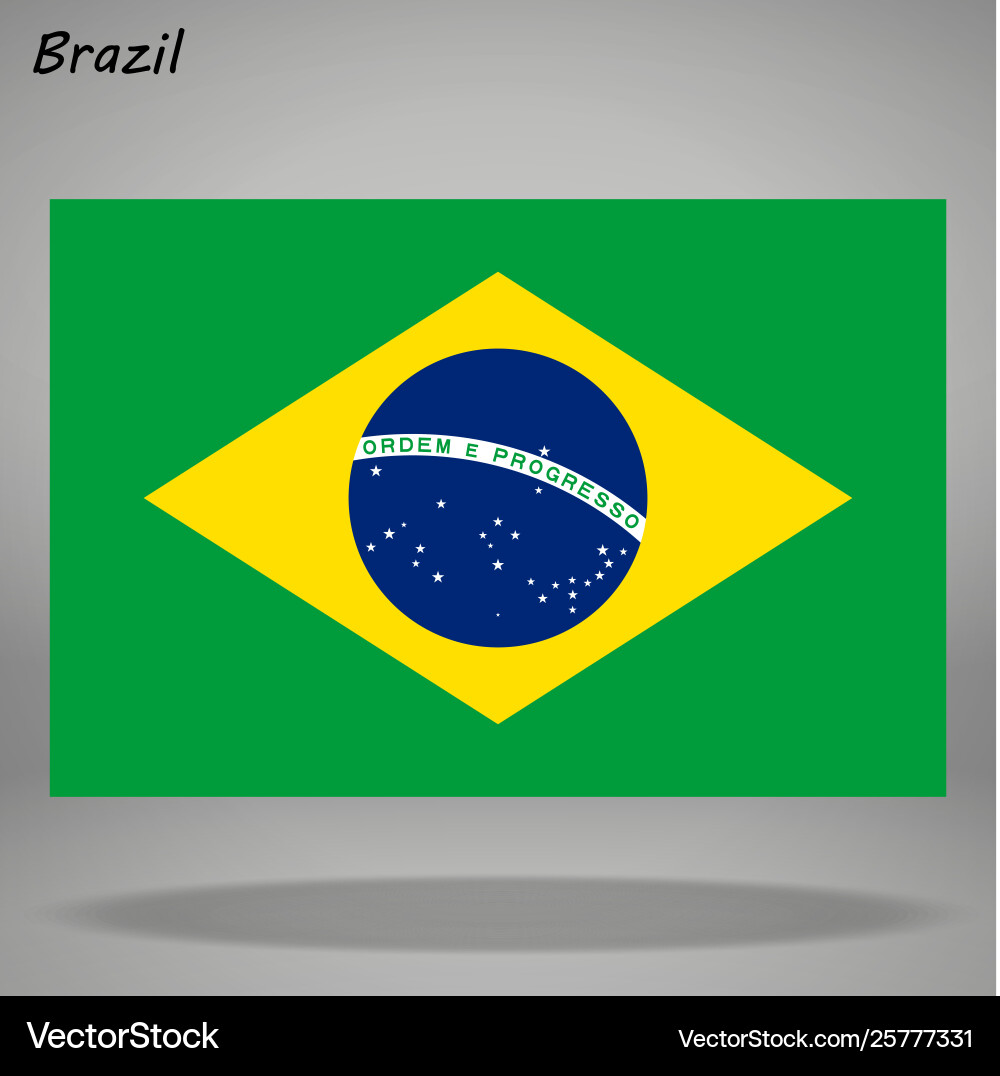 Simple flag isolated Simple flag isolated vector image