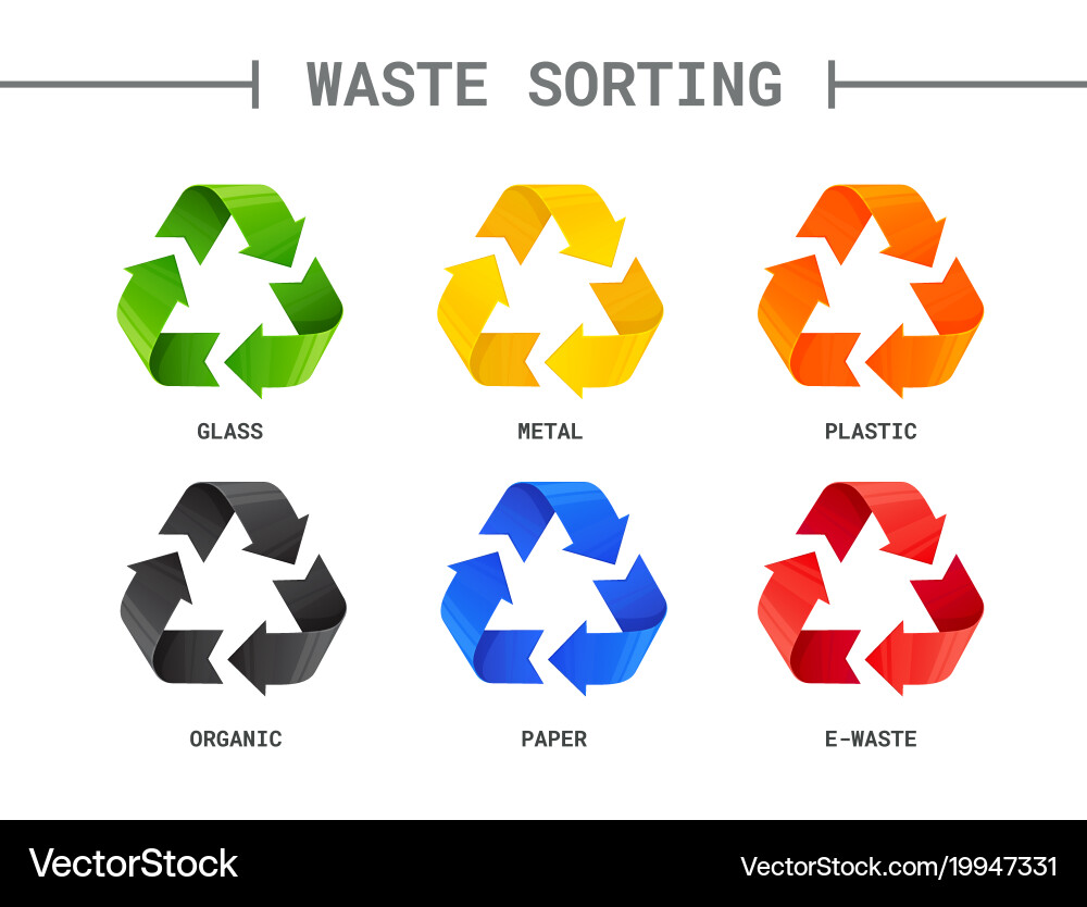 Waste Sorting – Color-Coded Recycling vector image