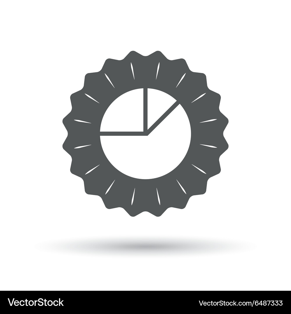 Pie chart graph sign icon diagram button Vector Image