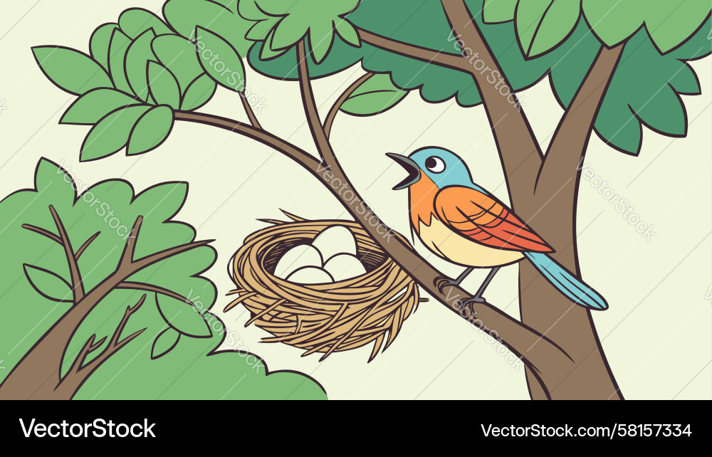 Robin Nest with Eggs Vector Image