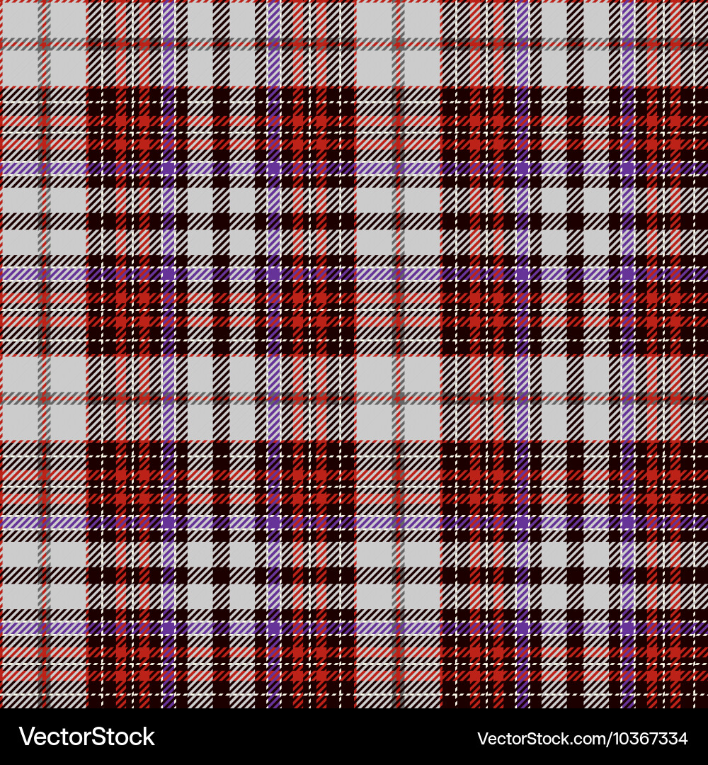 Tartan Plaid Pattern vector image