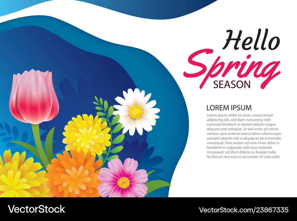 Hello spring greeting card and invitation Hello spring greeting card and invitation Vector Image