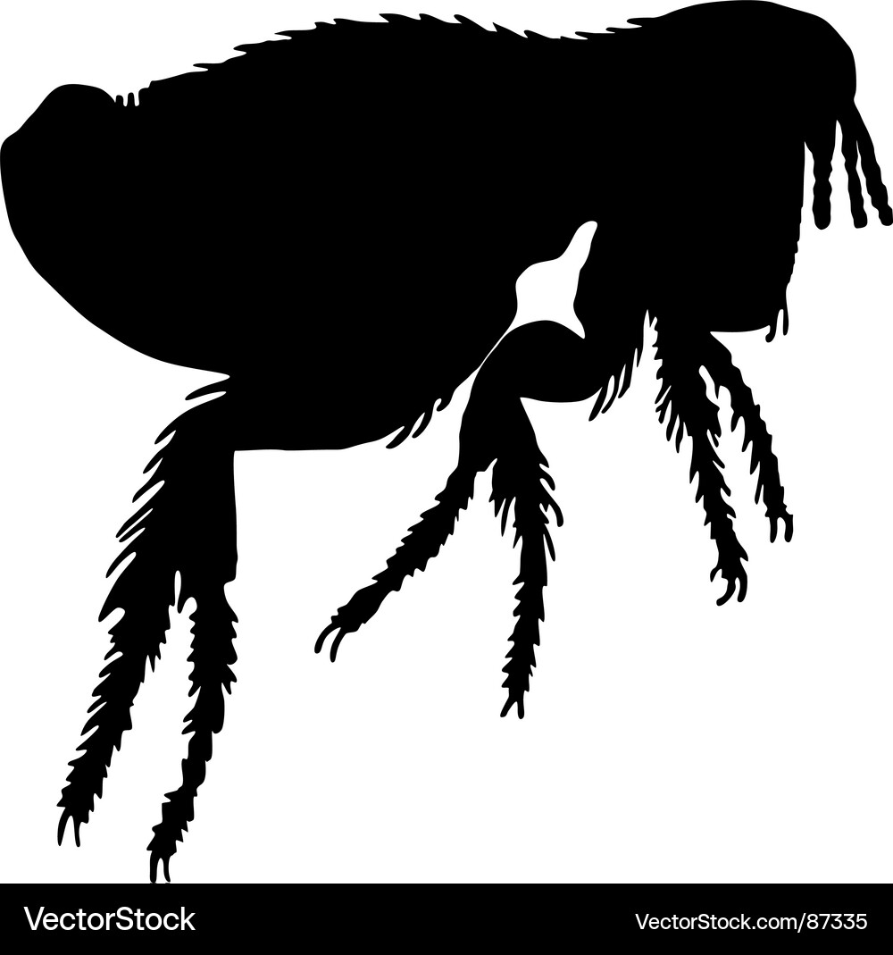 Hund Flohsilhouette Vektorbild