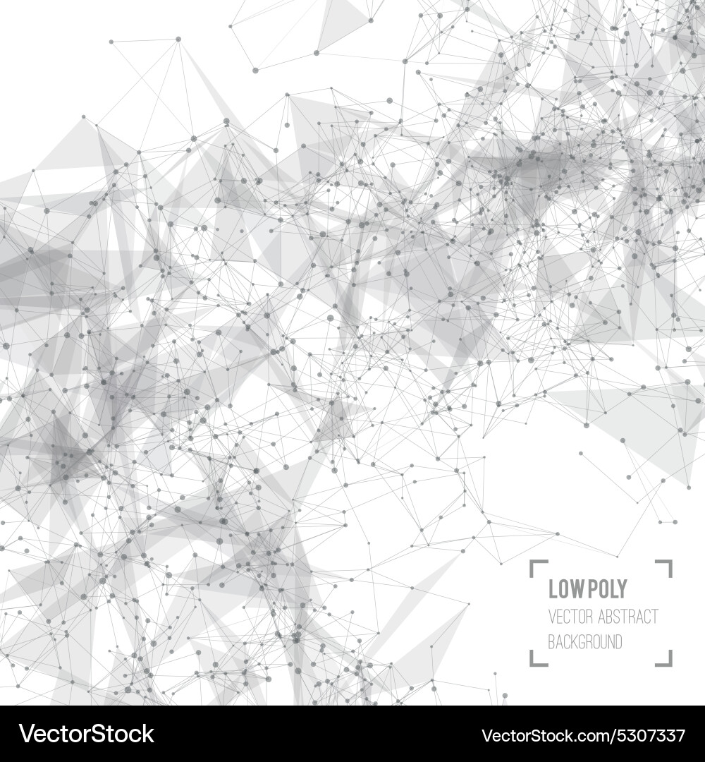 Abstract mesh background with circles lines vector image