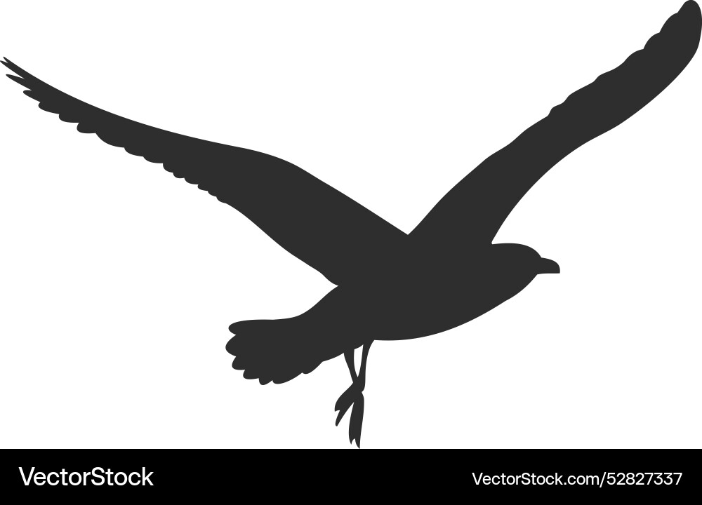 Black Bird Silhouette - Wildlife Icon vector image