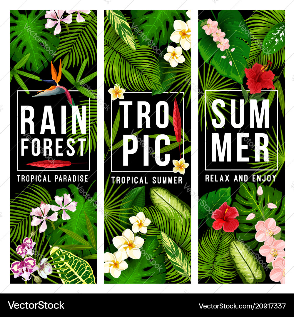Summer tropical paradise holidays banner with palm Summer tropical paradise holidays banner with palm vector image