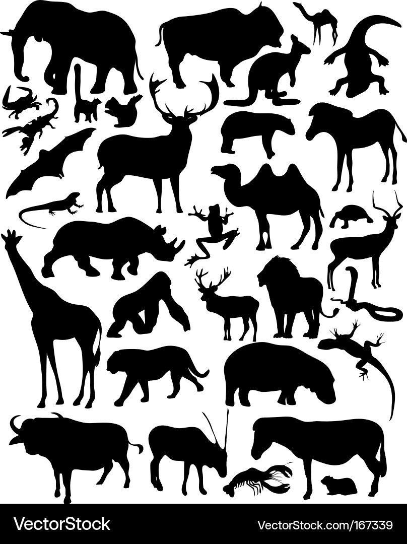 Silhouette Animals Collection Vector Image
