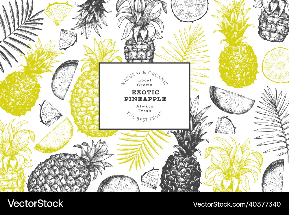 Hand gezeichnete Skizze Stil Ananas Banner bio Hand gezeichnete Skizze Stil Ananas Banner bio vektorbild