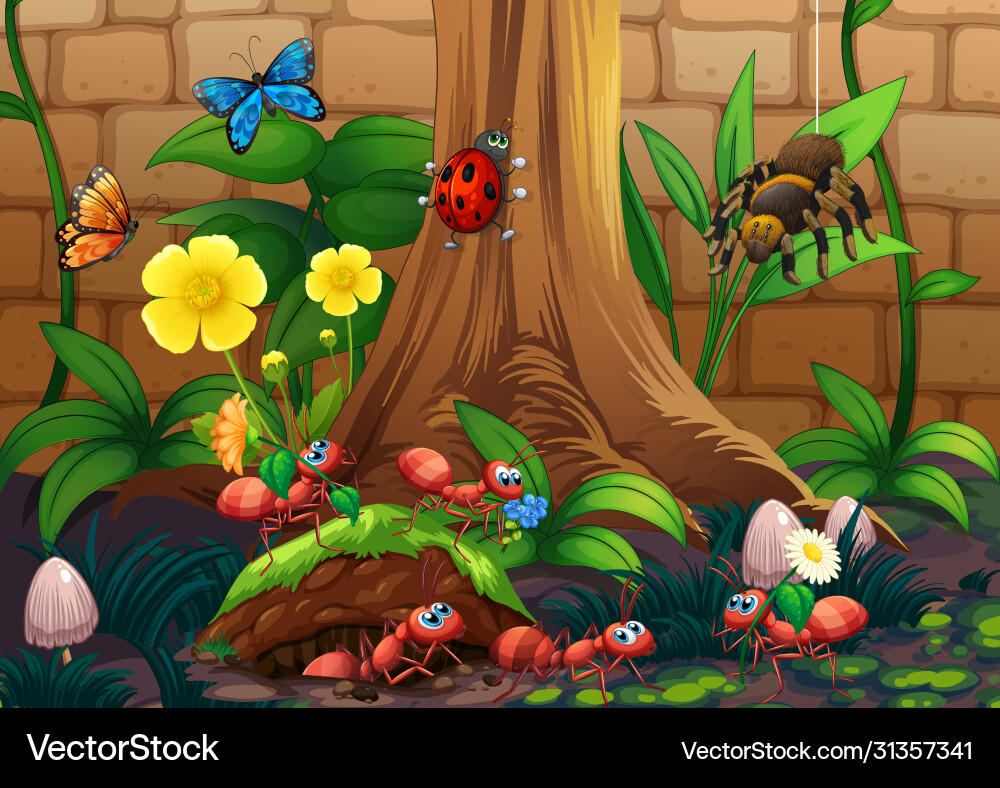 Scene with plants and insects in garden Scene with plants and insects in garden vector image