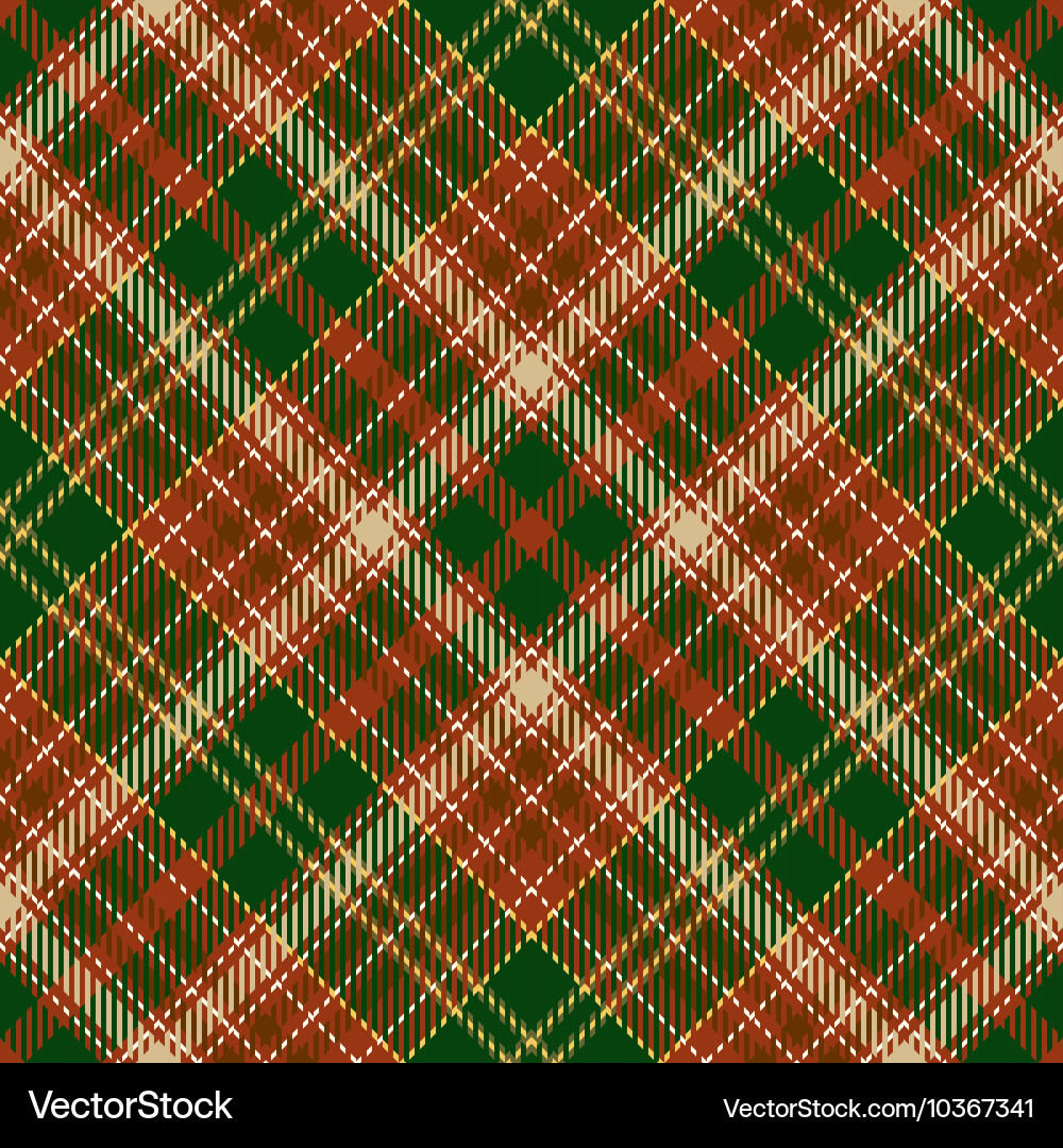 Tartan Plaid Pattern vector image