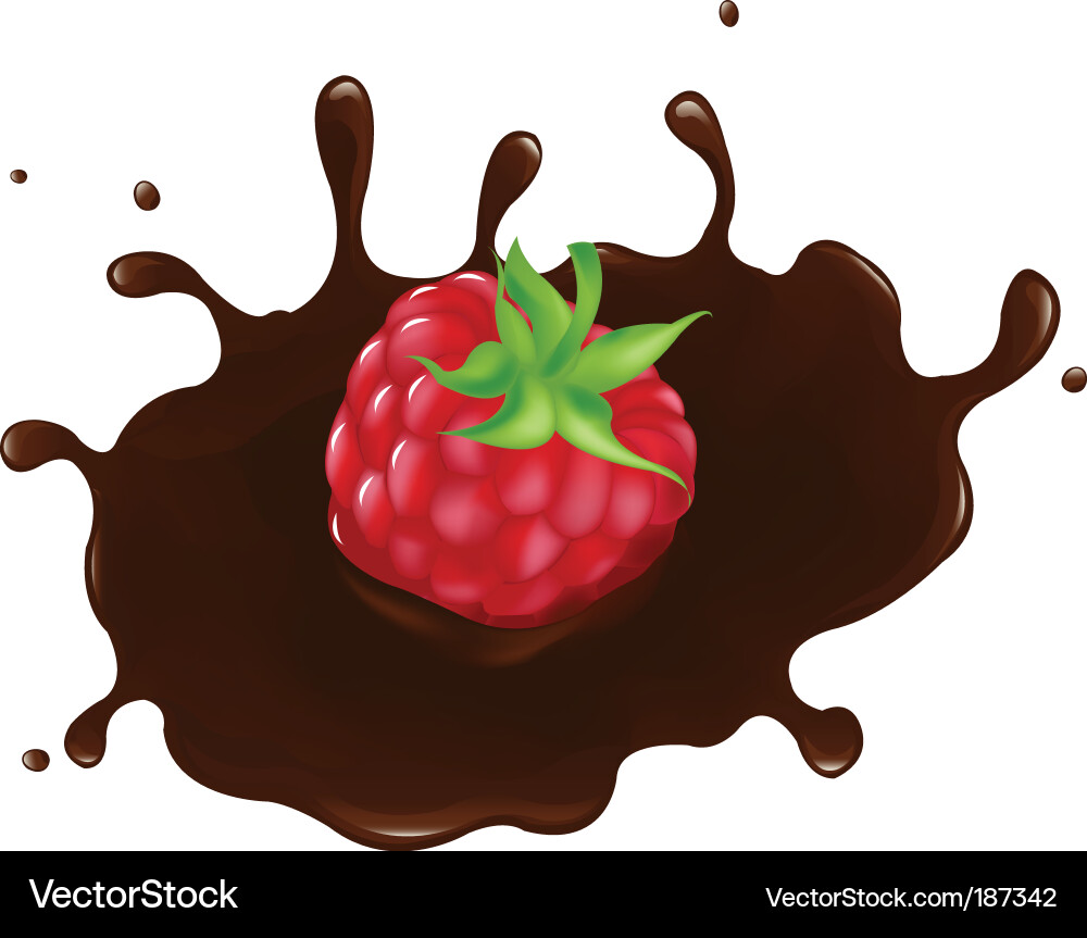 Chocolate Raspberry Dip Vector Image